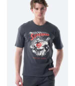 Camiseta Superman de hombre por 4.99€.