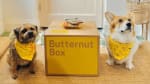 60% korting op je eerste Butternutbox en 30% korting op je tweede box