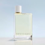 Hugo Boss The Scent es unEau de Toilette oriental de 100 ml por $76.950 en ABC Chile