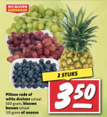 Pitloze duiven + blauwe bessen 2 stuks voor 3,50 euro