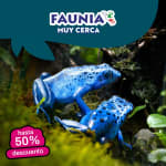 Hasta -40% de descuento por venta anticipada con Carnet Joven