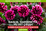 Free Delivery On Everything - With Code - Including 69p Seed Packs, Plants Bulbs, Gar