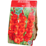 Verschillende soorten bloembollen vanaf €1,67 bij de Action