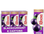 Ribena Blackcurrant Juice Drink Cartons - Multipack 6x250ml - £1.80 / £1.70 S&S