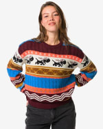 Takkie Kerst trui voor €24,49 bij de Hema