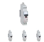 Disjoncteur Phase + Neutre Legrand - 10A - bornes à vis à 23,96€