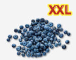 500 gram blauwe bessen voor €3,49 bij de Aldi