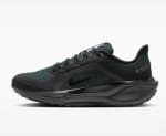 Chaussures de running Nike Pegasus 41 Gore-Tex à 95,99€