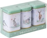 New English Teas Woodland Friends Mini Tea Tin Set for £3.50