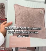 Oplaadbaar warmtekussen voor €29,99 bij de Zeeman