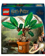 LEGO Harry Potter voor €55,28