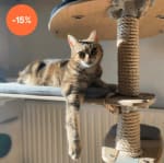 15% korting op katten artikelen bij Omlet