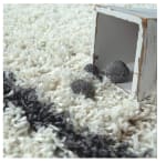 Tapis Shaggy Salon 120x170cm (Vendeur Tiers) à 14,63€