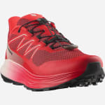 Chaussures de running homme Alpharide 2 SALOMON pour 69,99€ chez Intersport