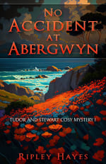 o Accident at Abergwyn: Tudor and Stewart Cosy Mystery 1 (Tudor and Stewart Abergwyn
