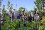 Gratis Voedselbossendag bij Boerenbuur met Natuur