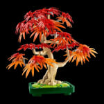 LEGO Botanicals Bonsái Arce Rojo 10348 por 12,95€ en Power Planet Online