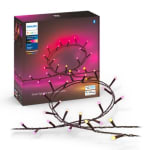 Philips Hue Festavia lichtsnoer voor €95,99 bij Philips Hue
