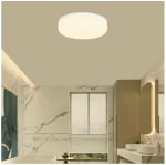 Plafonnier salle de bain 3000 K blanc à 4,90€