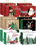 DECHISY 12 Pack Gift Bags for £1.99 at Amazon