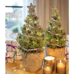Pair of Lavender Christmas Trees for £14.99