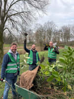 Gratis (Fruit)Bomen, Planten & Struiken af te halen in diverse plaatsen
