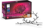 2 Stuks Philips Hue Festavia Lichtslinger 20m 250LEDs Kleur voor €190,50 bij Amazon