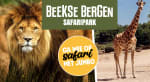 Safaripark Beekse Bergen entree voor €17,50 bij Jumbo Fandagen (4 okt)