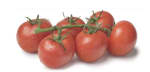 PLUS Trostomaten Per 500 gram voor €0,49