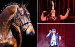 [BELGIE] Gratis entreeticket Paarden Circus Tetam via Tripper
