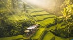 Escapada a Indonesia a tu aire: Bali, Ubud y Seminyak desde 1169€