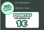 Solamente hoy plantas por menos de 1€