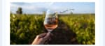 Valle del Duero portugués 3 días ,cena y cata para 2 desde 199€.