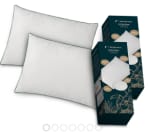 2 Van der Valk Hoofdkussens voor €52 in de AH voordeelshop