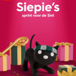 15% korting na spelen van Sinterklaas spel bij de Hema