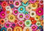 Puzzle 1000 piezas flores coloridas por 8.99€