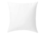 LIVARNO home Oreiller, 60 x 60 cm à 3,99€