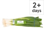 Tesco Bunched Spring Onions 100G for £0.49 at Tesco