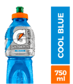 6x Bebida Isotónica Gatorade Cool Blue 750cc $7.000 solo en La Barrra, Chile