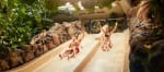 Bungalow Race vanaf €256 bij Center Parcs