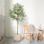 Kunst olijfboom 175 cm voor €34,95 bij Action