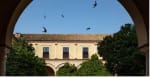 Escapada andaluza a Sanlúcar y Parque Doñana desde 47€ pxp