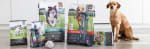 Gratis zak Intratuin Premiumvoer voor je Puppy of Kitten