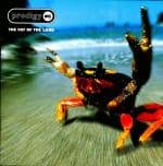 The Prodigy Fat of The Land (LP) pour 27,99€ chez Amazon