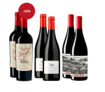 6 Botellas de Colección la Ribera del Duero burgalesa por 33.9€
