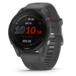 Reloj Inteligente Deportivo Garmin Forerunner 255 de 46 mm Slate Gray por 122.75€