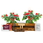 Mini Huerto Urbano Vintage de Tomates Cherry por 2.99€