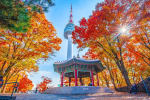 Vuelo redondo CDMX - Seúl por $18,664 en Skyscanner