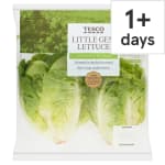 Tesco Little Gem Lettuce Twin Pack for £0.49 at Tesco
