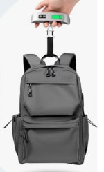 Pèse Bagages Numérique Portable Balance Pèse Valise de Voyage Fonction Tare à 6,99€